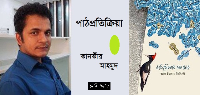 কাঠঠোকরার ঘরদোর : পাঠপ্রতিক্রিয়া