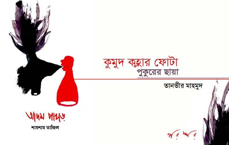 আদম পাহাড় :  কুমুদ কহ্লার ফোটা পুকুরের ছায়া