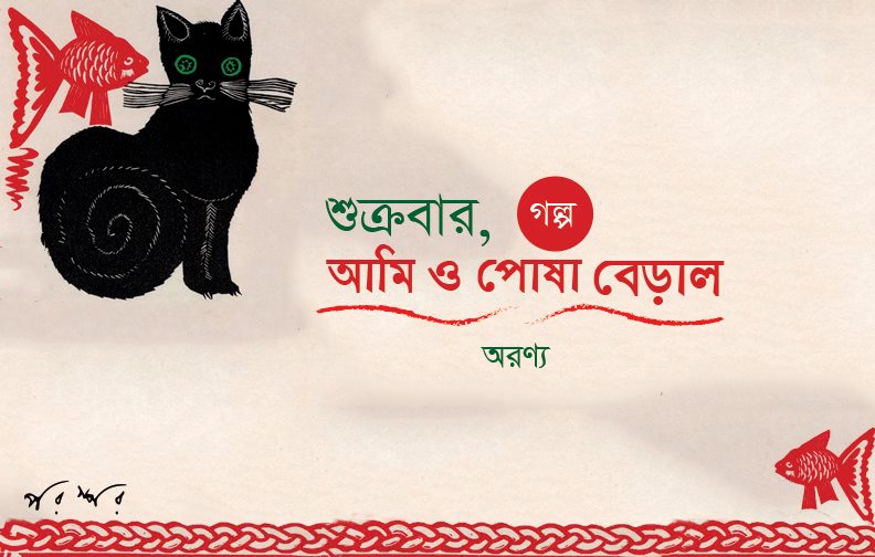 শুক্রবার, আমি ও পোষা বেড়াল