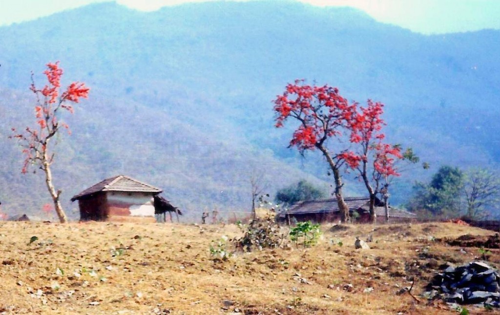singbhum-e palaash